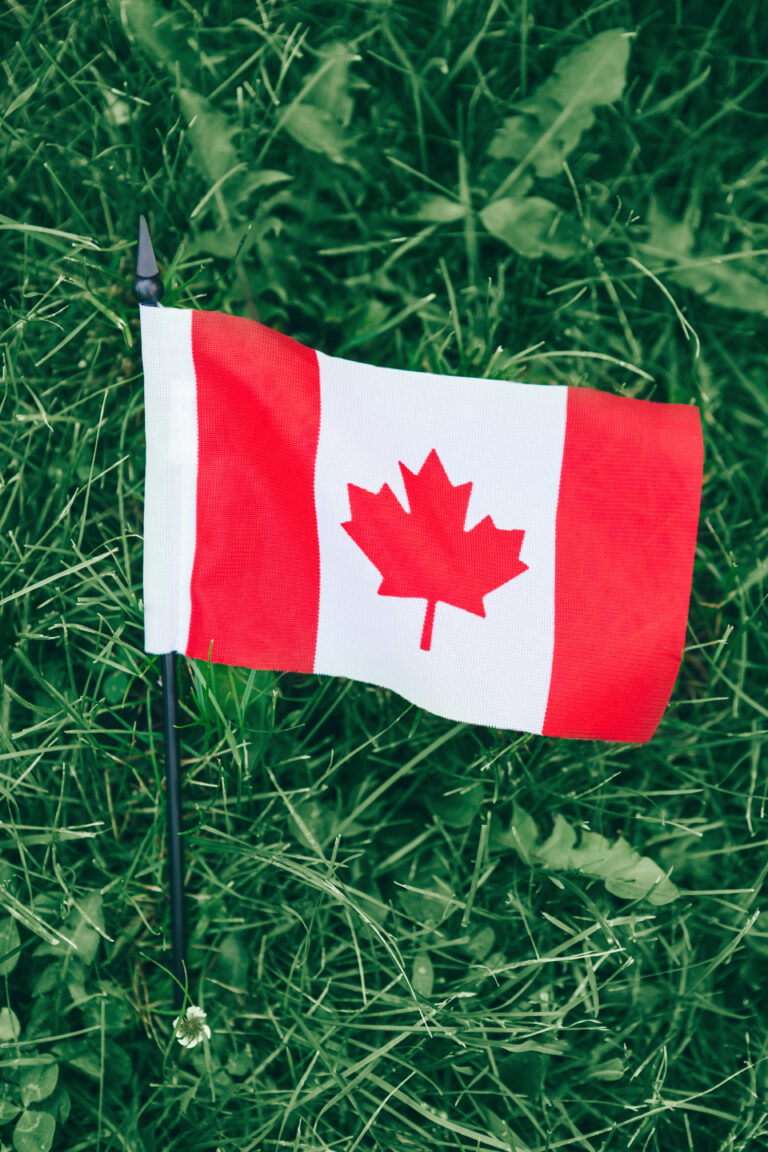 canadian flag with red maple leaf lying green grass nature background canada day celebration